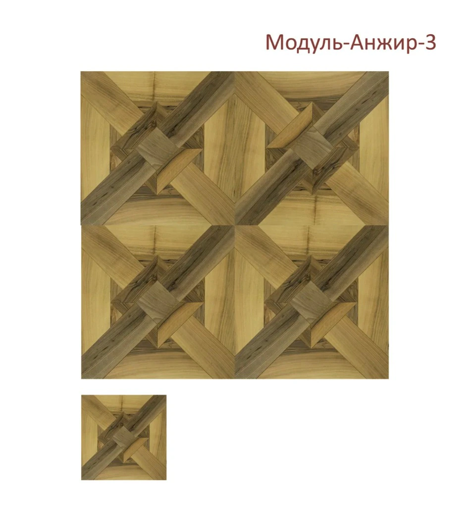 Модуль-Анжир-3