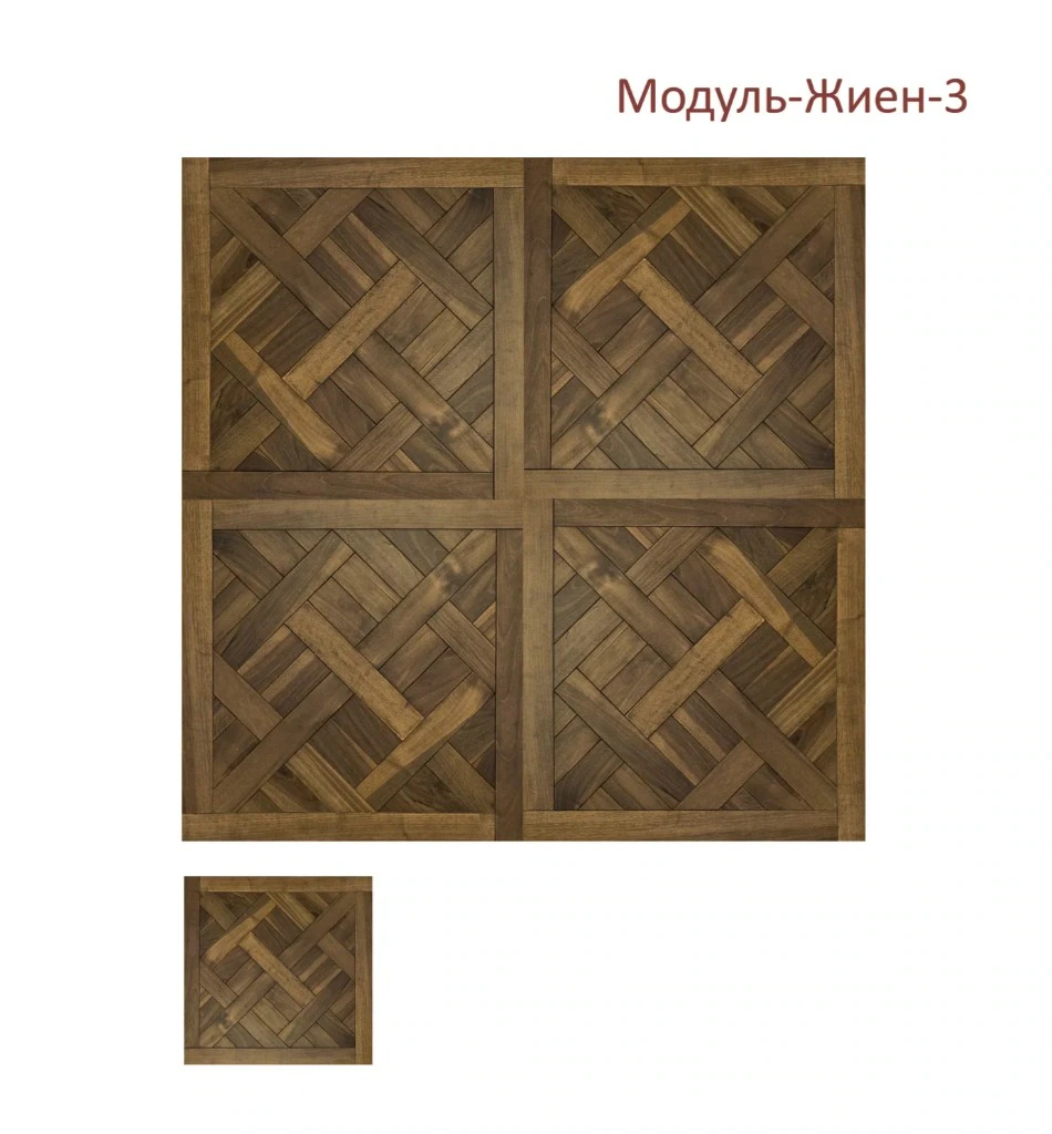 Модуль-Жиен-3